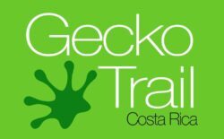 Gecko Trail Logo